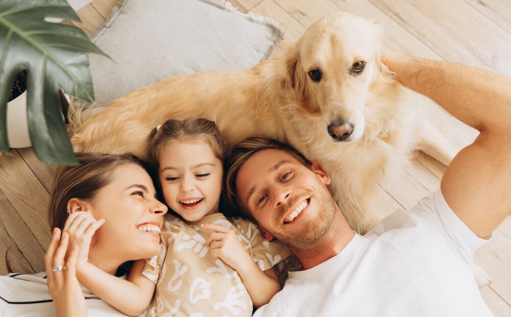 Portrait,Of,Happy,Family,,Beautiful,Mother,,Father,And,Cute,Little