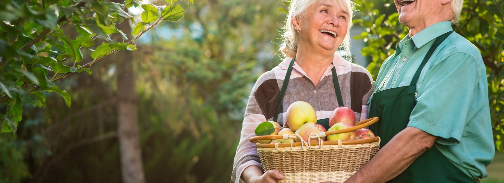 Elderly,Couple,And,Apple,Basket.,Woman,And,Man,Laughing,Outdoor.
